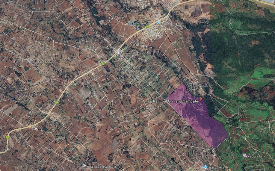 Survey & Investigations